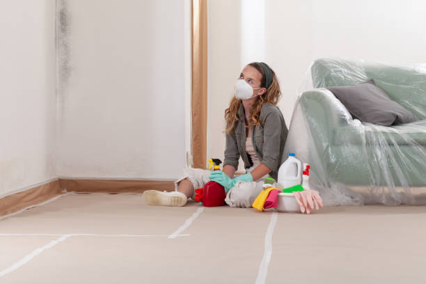 Reliable Mold Remediation contractor in Janesville, MN by 24 Hour Mold Removal